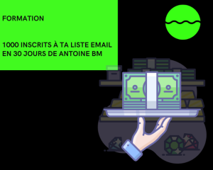 1000 inscrits a ta liste email en 30 jours de antoine bm