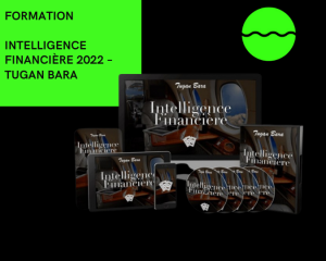 intelligence financiere %e2%80%93 tugan bara
