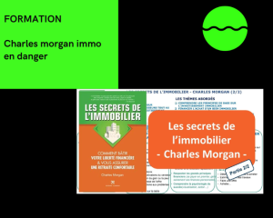 immo en danger charles morgan