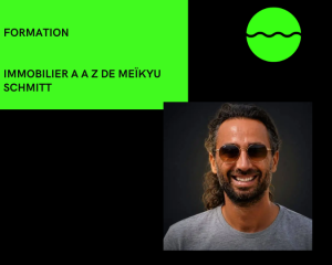 immobilier a a z de meikyu schmitt