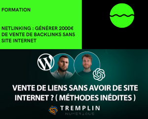 netlinking generer 2000e de vente de backlinks sans site internet