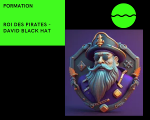 roi des pirates david black hat
